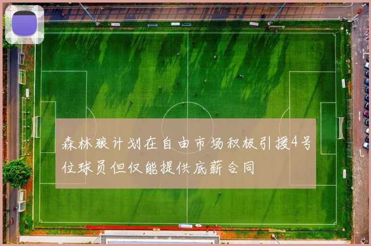 森林狼计划在自由市场积极引援4号位球员但仅能提供底薪合同